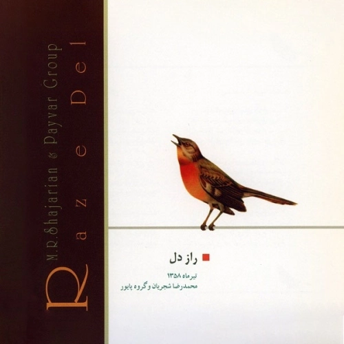 Donavazi by Mohammad Reza Shajarian
