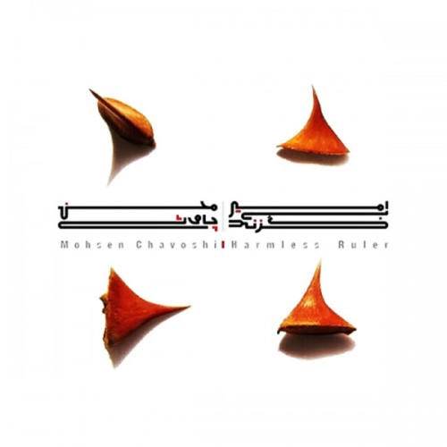 Changiz by Mohsen Chavoshi