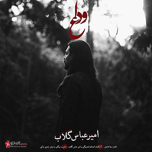 Vedaa by Amirabbas Golab