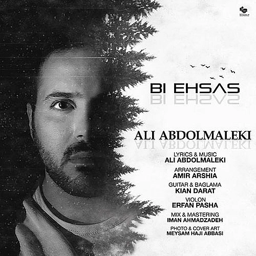 Bi Ehsas by Ali Abdolmaleki