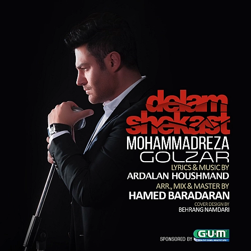 Delam Shekast by Mohammadreza Golzar