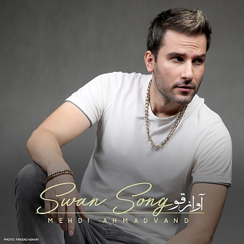 Swan Song by Mehdi Ahmadvand