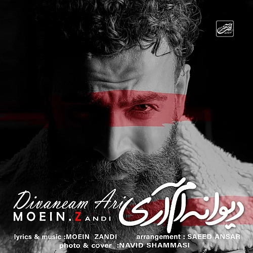 Divaneam Ari by Moein Z