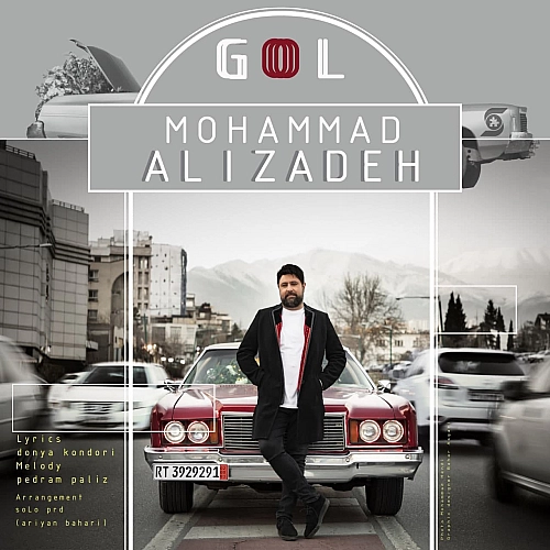 Gol by Mohammad Alizadeh
