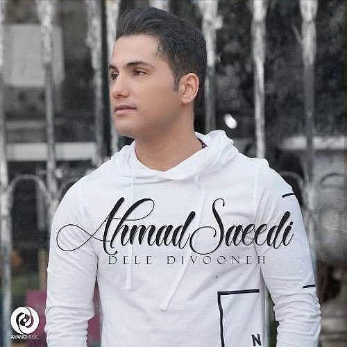 Dele Divooneh by Ahmad Saeedi