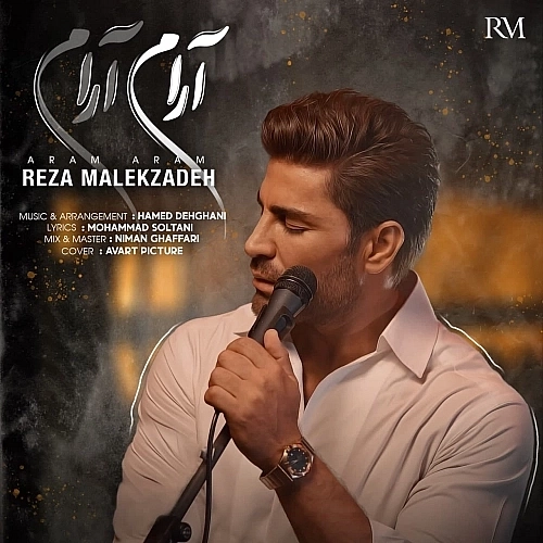 Aram Aram by Reza Malekzadeh