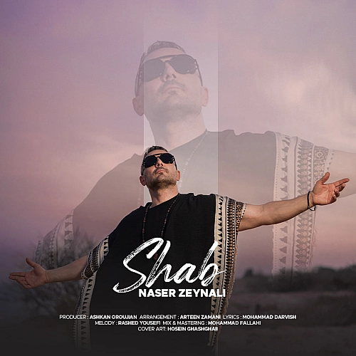 Shab by Naser Zeynali