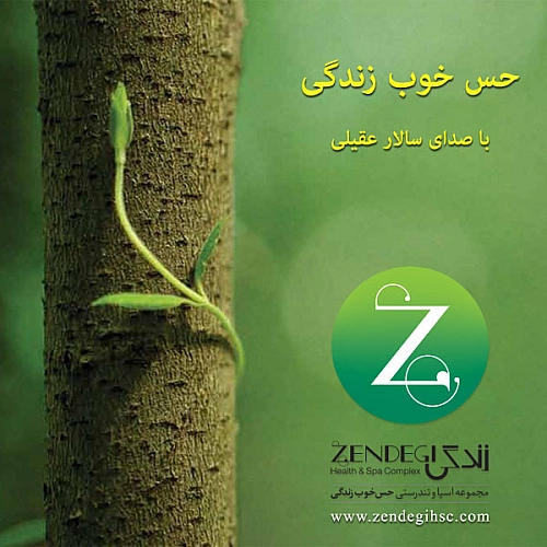 Hesse Khoobe Zendegi by Salar Aghili