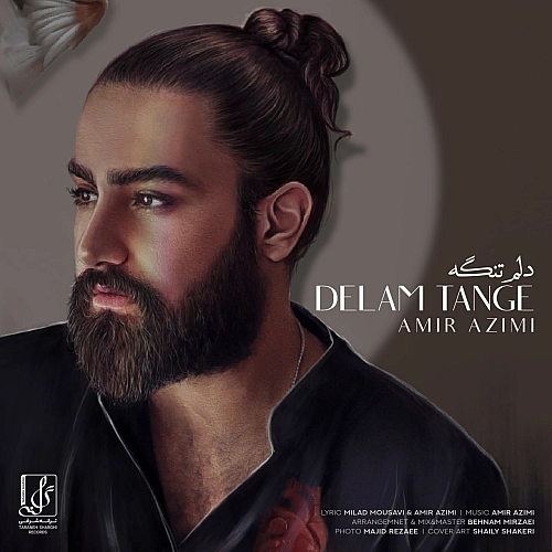 Delam Tange by Amir Azimi