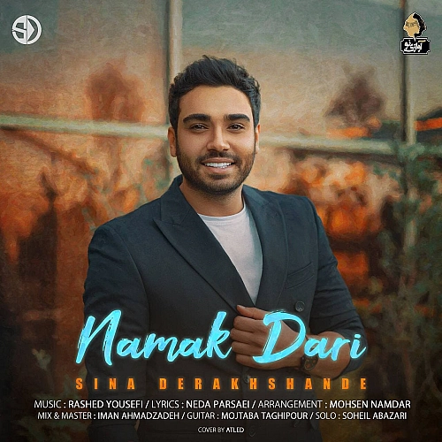 Namak Dari by Sina Derakhshande