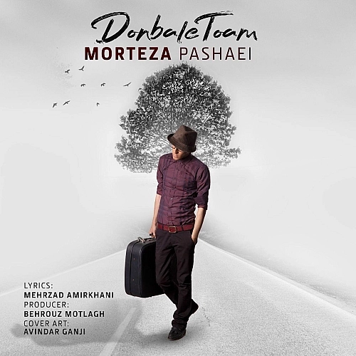 Donbale Toam by Morteza Pashaei