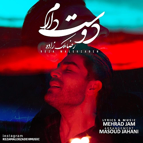 Dooset Daram by Reza Malekzadeh
