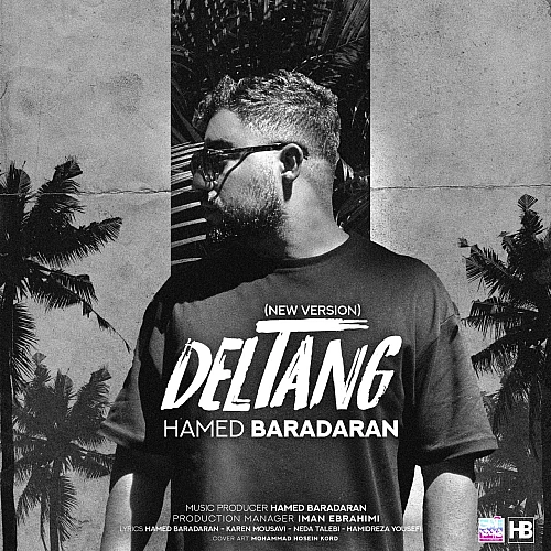 Deltang (new Version) by Hamed Baradaran