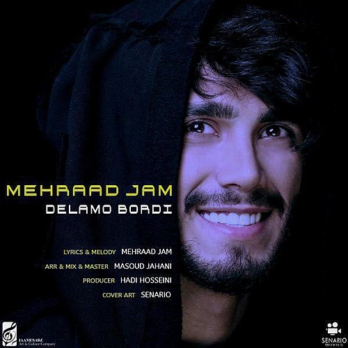 Delamo Bordi by Mehraad Jam