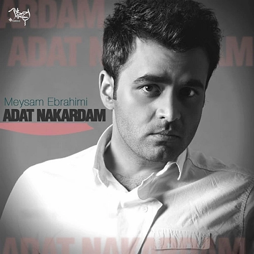 Adat Nakardam by Meysam Ebrahimi