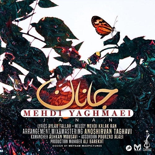 Janan by Mehdi Yaghmaei