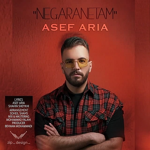 Negaranetam by Asef Aria