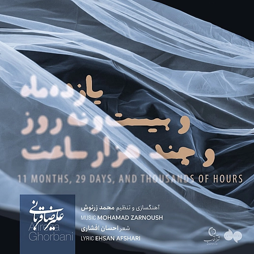 11months 29days And Thousands Of Hours by Alireza Ghorbani