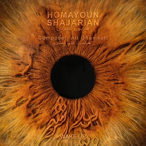 Bidar Sho by Homayoun Shajarian