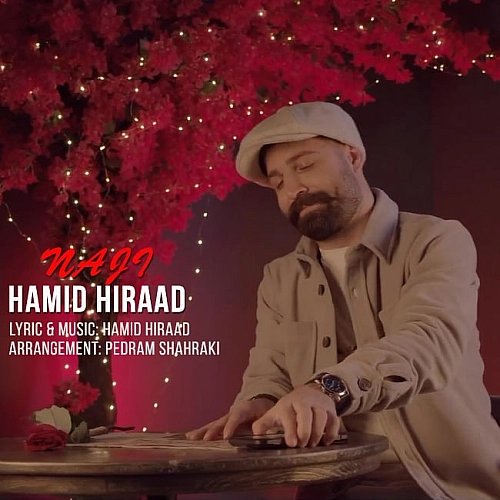 Naji (deli) by Hamid Hiraad