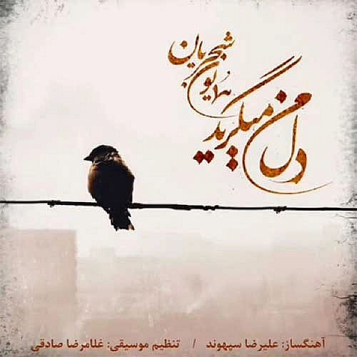 Dele Man Migeryad by Homayoun Shajarian