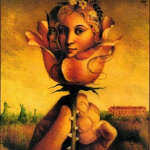 Kaftar Chahi by Mohsen Chavoshi