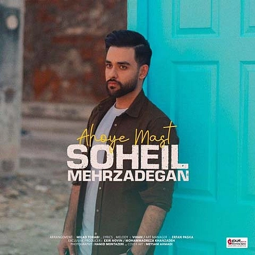 Ahooye Mast by Soheil Mehrzadegan