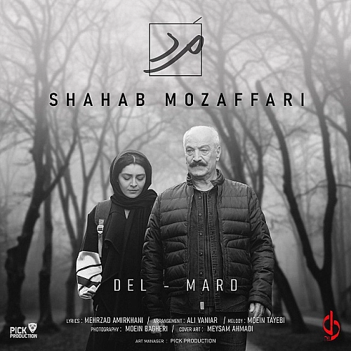 Mard by Shahab Mozaffari