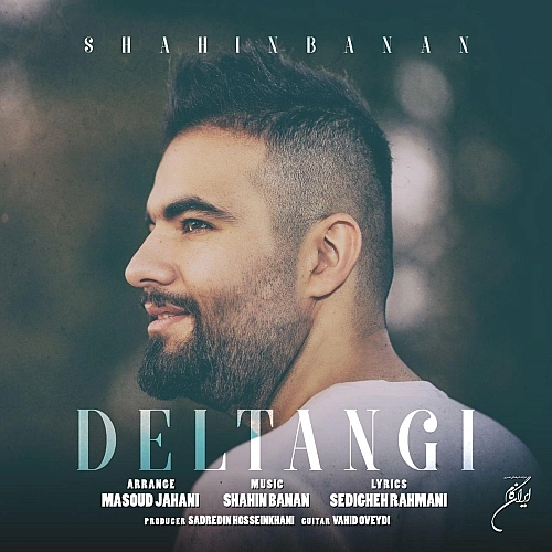 Deltangi by Shahin Banan
