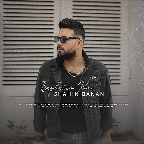 Baghalam Kon by Shahin Banan