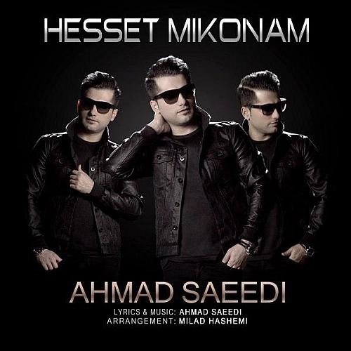 Hesset Mikonam by Ahmad Saeedi