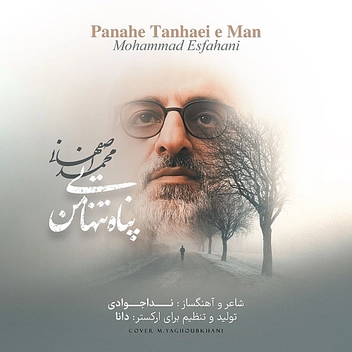 Panahe Tanhaei Man by Mohammad Esfahani