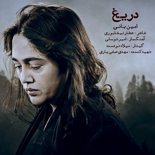 Darigh by Amin Bani