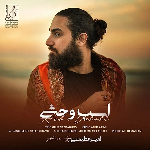 Asbe Vahshi by Amir Azimi