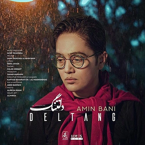 Deltang by Amin Bani