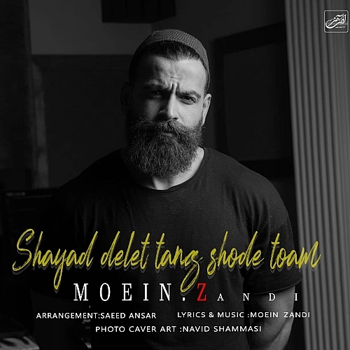 Shayad Delet Tang Shode Toam by Moein Z