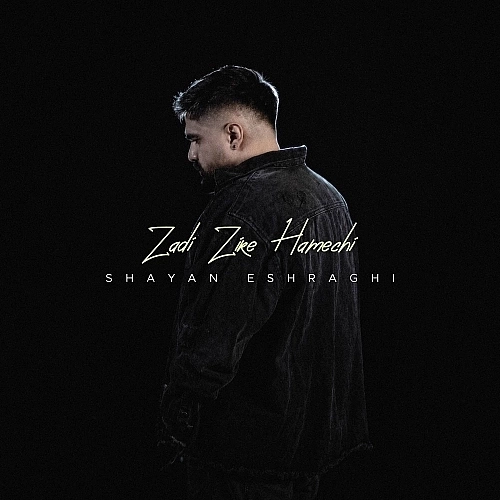Zadi Zire Hamechi by Shayan Eshraghi