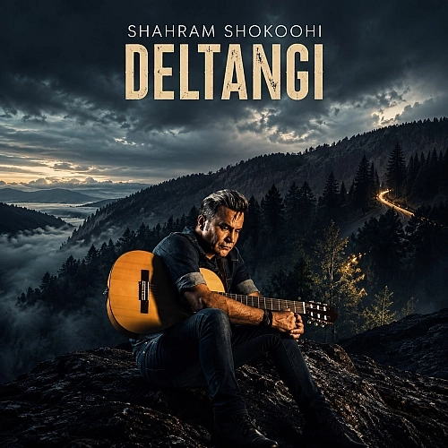 Deltangi by Shahram Shokoohi