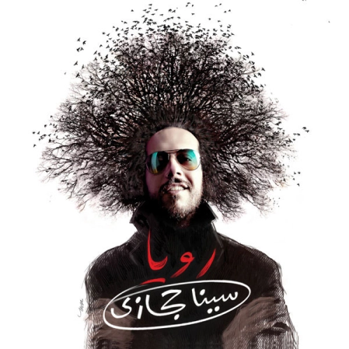 Roya Sina Hejazi