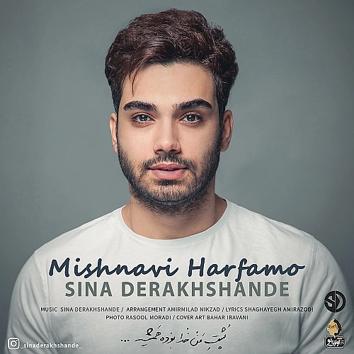 Mishnavi Harfamo by Sina Derakhshande