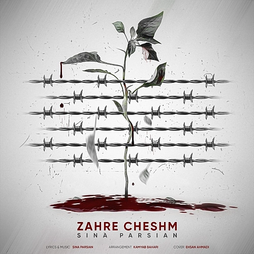 Zahre Cheshm by Sina Parsian