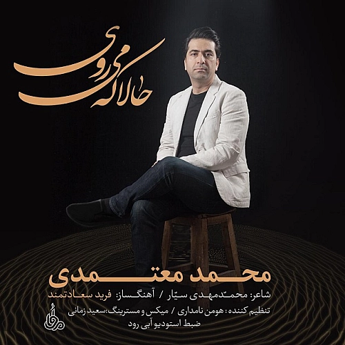 Hala Ke Miravi by Mohammad Motamedi