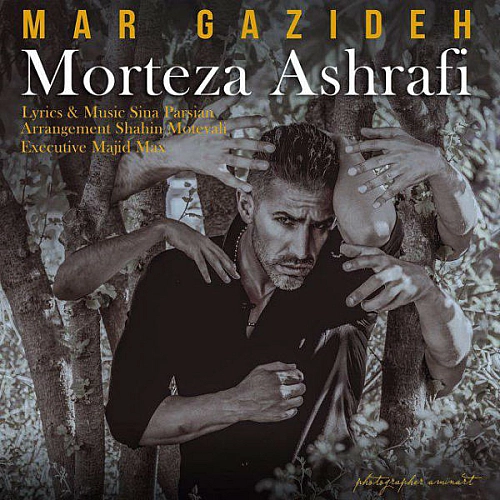 Mar Gazideh by Morteza Ashrafi
