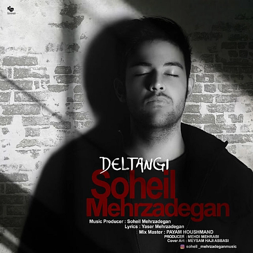 Deltangi by Soheil Mehrzadegan
