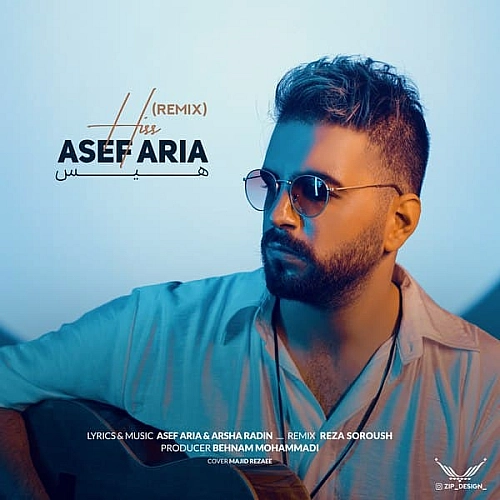 Hiss (remix) by Asef Aria