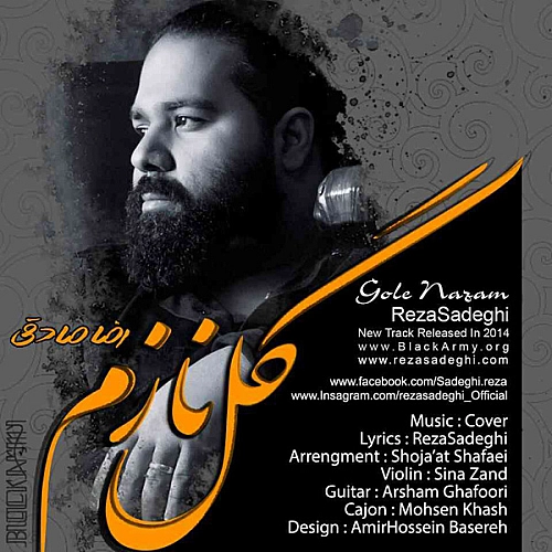Gole Nazam by Reza Sadeghi