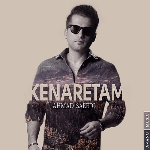 Kenaretam by Ahmad Saeedi