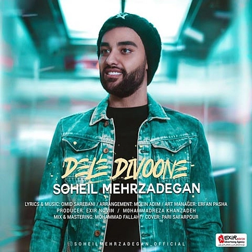 Dele Divoone by Soheil Mehrzadegan