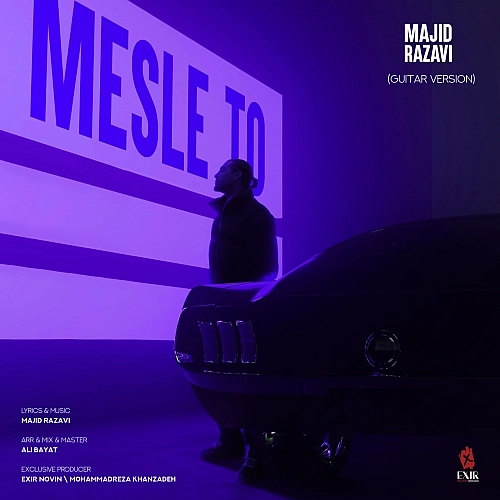 Mesle To (guitar Version) by Majid Razavi