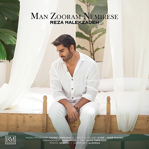 Man Zooram Nemirese by Reza Malekzadeh